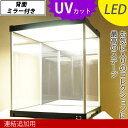 【アウトレット】【連結追加用】 LED照明・背面ミラー付き 増設用 コレクションケース J-STAGE UVカット 【送料無料】 ロータイプ LED アクリルケース 背面ミラー キュリオケース コレクションラック ショーケース ジェイ・ステージ 紫外線対策 日焼け防止