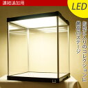 【連結追加用】 LED付き コレクションケース J-STAGE （ミラー無し） 【送料無料】 LED フィギュアケース アクリルケース キュリオケース フィギアケース コレクションラック ショーケース ジェイ ステージ