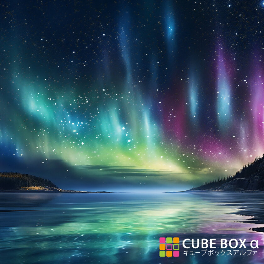 【CBA CBH 専用背面デザインシート】 オーロラ 星空 夜空 海 夜景 海岸 島 南極 北極