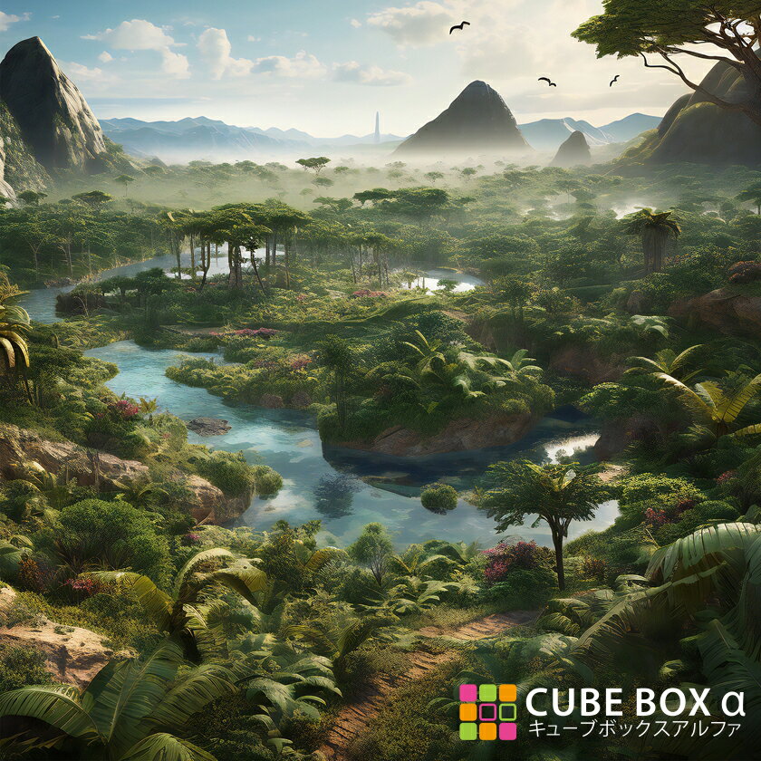 CBA CBH ̥ǥ󥷡ȡ ε 󥰥 ʪ    򰡵  ŷ Ķ