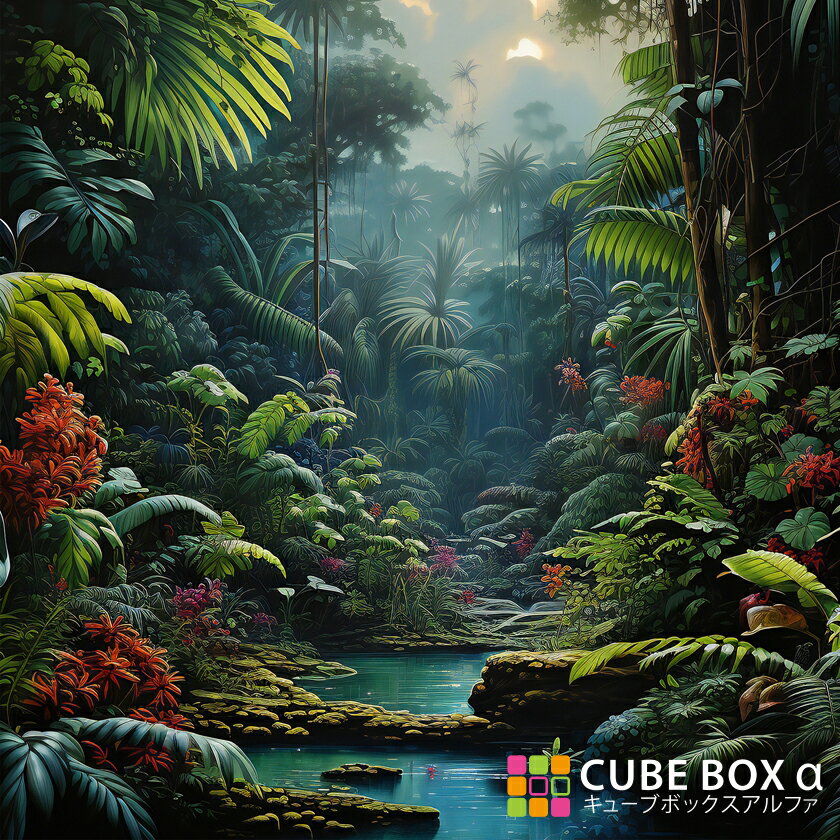 CBA CBH ̥ǥ󥷡ȡ ε 󥰥 ʪ    򰡵  