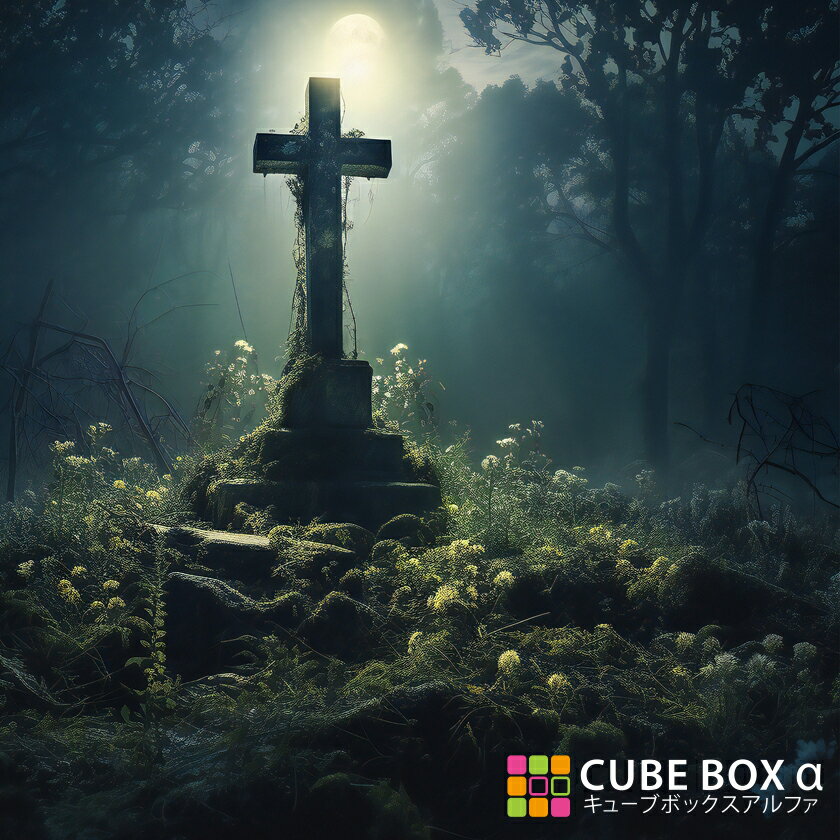 CBA CBH ̥ǥ󥷡ȡ ᥿꡼   ۥ顼    ʿ