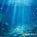 【CBA CBH 専用背面デザインシート】 海中 熱帯魚 風景 背景 水族館 アクアリウム 水中 サンゴ 海底 アリエル 珊瑚礁 海物語