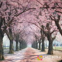 【CBA CBH 専用背面デザインシート】 桜通り 桜道 通り抜け 春 風景 卒業式 入学式 並木道 背景