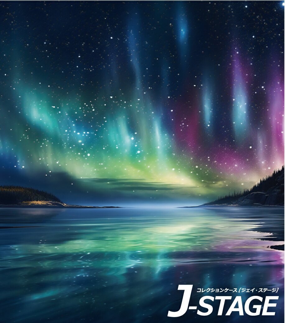 【5日★枚数限定★5%OFFクーポン】 【J-STAGE スタンダード レギュラータイプ専用 背面デザインシート】 オーロラ 星空 夜空 海 夜景 海岸 島 南極 北極