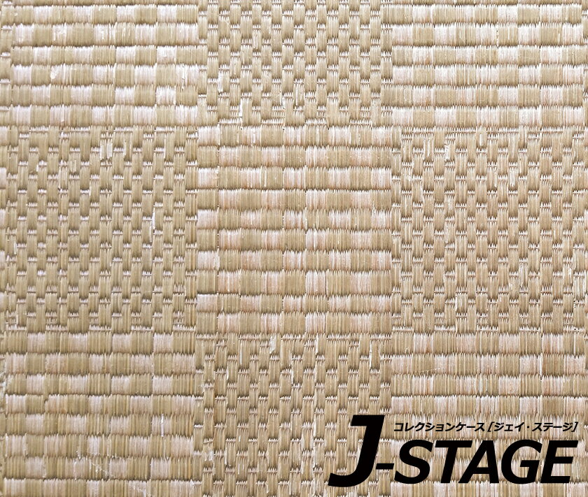 J-STAGE  쥮顼 ̥ǥ󥷡ȡ  ¼   ɽ   饿