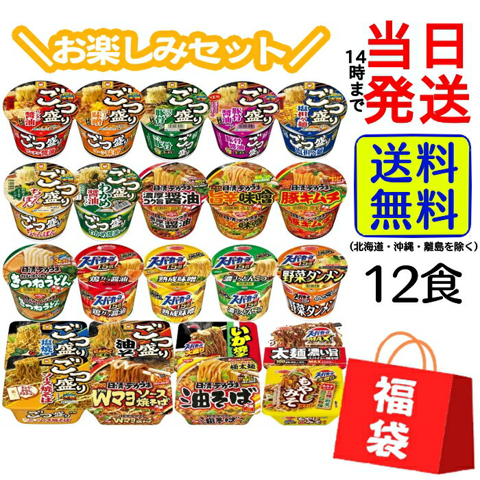 【 福袋 】大盛り カップラーメン 12種12個 詰め合わせセット【 送料無料 】【 当日発送 】 大盛り ビッグサイズ カップ麺 ボリューミー やきそば うどん ごつ盛り スーパーカップ 東洋水産 エースコック 日清 マルちゃん デカうま