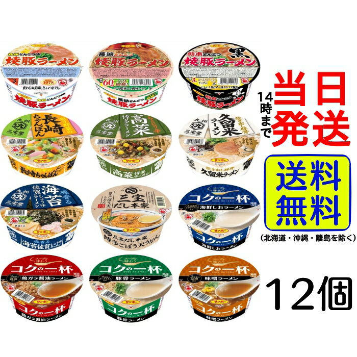 サンポー 九州ラーメン 12種 12食 詰め合わせセット【 送料無料 】【 当日発送 】九州 カップ麺 カップラーメン インスタント ラーメン インスタントラーメン 箱買い ケース買い ギフト 詰め合わせ アソート 仕送り 学生のサムネイル