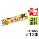 【最安値挑戦中】 森永製菓 ハイチュウ 和梨味 12粒×12本【 送料無料 】【 ポスト投函 】【 当日発送 】梨 ナシ 和梨 森永 チューインガム チューイングガム チューイングキャンディー