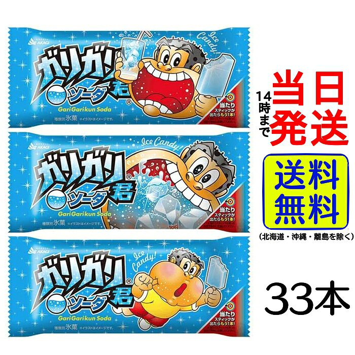 赤城乳業 ガリガリ君 ソーダ 105ml × 33本【 送料無料 】【 当日発送 】 アイス 冷凍 夏 箱 ケース 孫 子ども プレゼント ギフト 仕送り おやつ 涼しい アイスクリーム かき氷 シャーベットのサムネイル