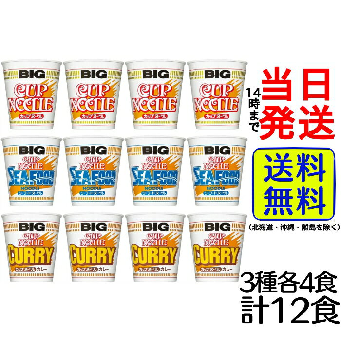 日清 カップヌードル BIG 3種各4食計12食 詰め合わせセットカップ麺 詰め合わせ バラエティセット 箱買い ケース 夜食 非常食 男性 一人暮らし ラーメン インスタント ギフト 日清食品 大盛り