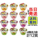 寿がきや 小さなおうどん 4種各3食 計12食 詰め合わせセット【 送料無料 】【 当日発送 】 うどん 間食 ダイエット 備蓄 食べ比べ アソート スープ 簡単 即席 インスタント 国内産