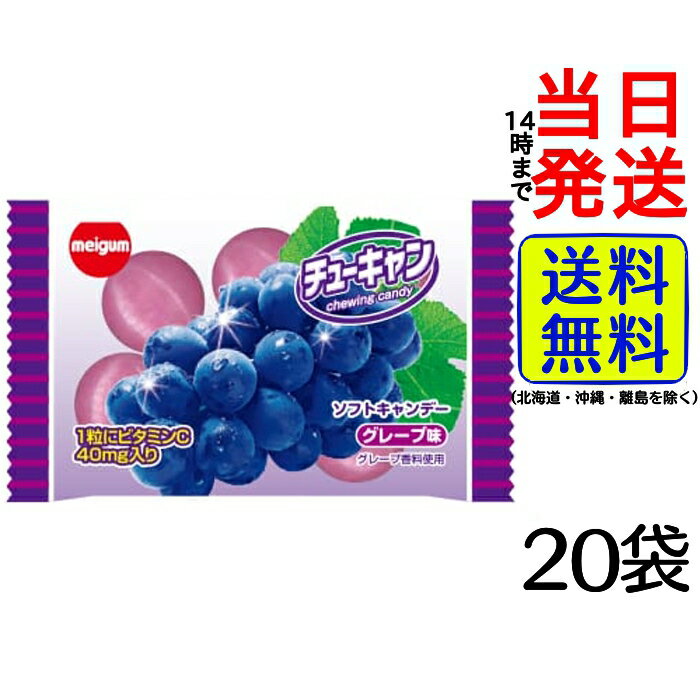 明治ガム チューキャングレープ 15g×20袋【 送料無料 】【 ポスト投函 】【 当日発送 】ソフトキャンディー チューキャン ガム meigum ビタミンC 水あめ チューイングキャンディ グレープ 子ども 孫 お菓子