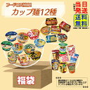 【 フードロス削減 福袋 】 訳アリ カップ麺 12種12個 詰め合わせセット※画像以外の商品が入る場合もございます。麺職人 どん兵衛 ペヤング カップスター ...