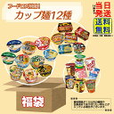 【 フードロス削減 福袋 】 訳アリ カップ麺 12種12個 詰め合わせセット※画像以外の商品が入る場合もございます。麺職人 どん兵衛 ペヤング カップスター カップヌードル 至極の一杯 麺づくり 評判屋 中華三昧 ごつ盛り 一平ちゃん 日清 エースコック 東洋水産