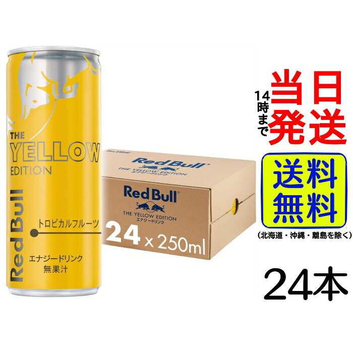 【 最安値挑戦中 】 Red Bull イエローエディション 250ml × 24本【 送料無料 】【 当日発送 】 エナジードリンク レッドブル フルーツ トロピカルフルーツ 柑橘系 炭酸 ジュース RedBull ドリンク 夜勤 徹夜 スポーツ オール 眠気覚まし 睡魔 眠気 勉強 仕事