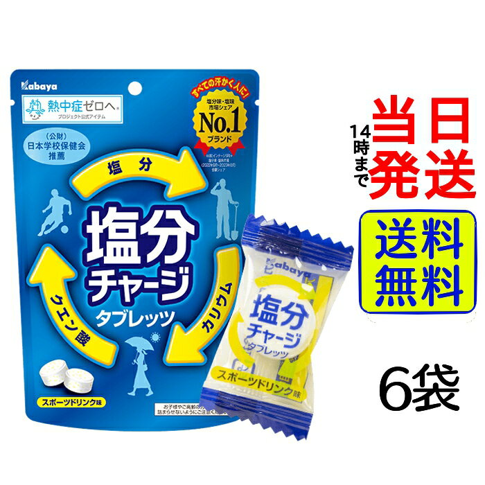 楽天総合食品卸問屋housechoice【袋数選べる！】 カバヤ 塩分チャージタブレッツ スポーツドリンク味 81g【 送料無料 】【 当日発送 】 熱中症対策 塩分補給 現場 塩飴 飴 夏 熱中症 体育祭 部活 スポーツ アウトドア 運動 トレーニング 塩分 熱中症 大容量 まとめ買い スポーツドリンク