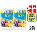 【最安値挑戦中】 リボン 凍らせて食べる 果汁100% フローズンシャーベット 9本入り × 2袋セット【 送料無料 】【 ポスト投函 】【 当日発送 】フロー...