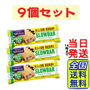 ブルボン スローバーチョコバナナクッキー 41g×9個【 送料無料 】【 ポスト投函 】【 当日発送 】BOURBON SLOWBAR バナナ チョコレート クッキー チョコバナナ 低GI 糖質
