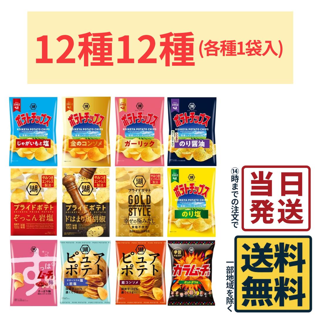 国産じゃがいも使用 湖池屋 スナック菓子12種12袋 詰め合わせセット【 送料無料 】【 当日発送 】湖池屋 ポテトチップス ポテチ プライドポテト すっぱムーチョ ピュアポテト カラムーチョ 食べ比べ
