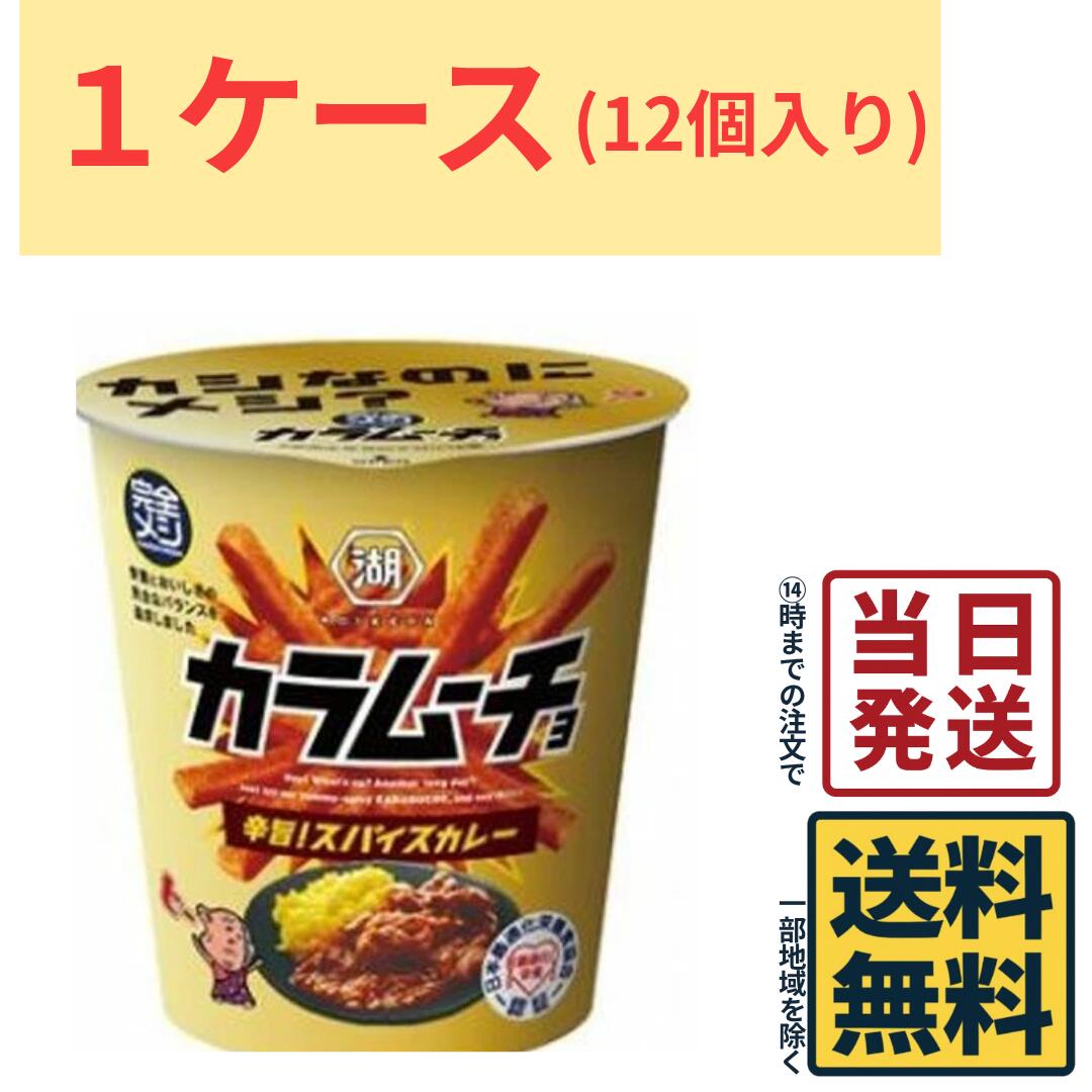 湖池屋 カラムーチョ 完全メシ 辛旨!スパイスカレー 38g×12個 カラムーチョ 湖池屋 完全メシ スナック菓子 辛いお菓子 スパイスカレー味 辛旨スナック