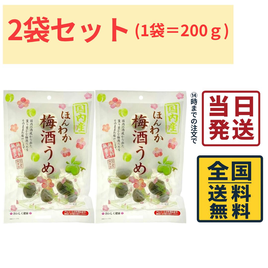 ノザワ食品工業 ほんわか梅酒うめ200g×2袋 梅酒 梅 梅酒漬け 梅スイーツ