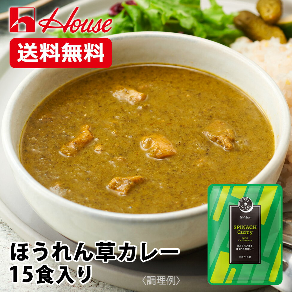 レトルトなのに本格的なスパイスの効いた美味しいほうれん草カレーのおすすめは？