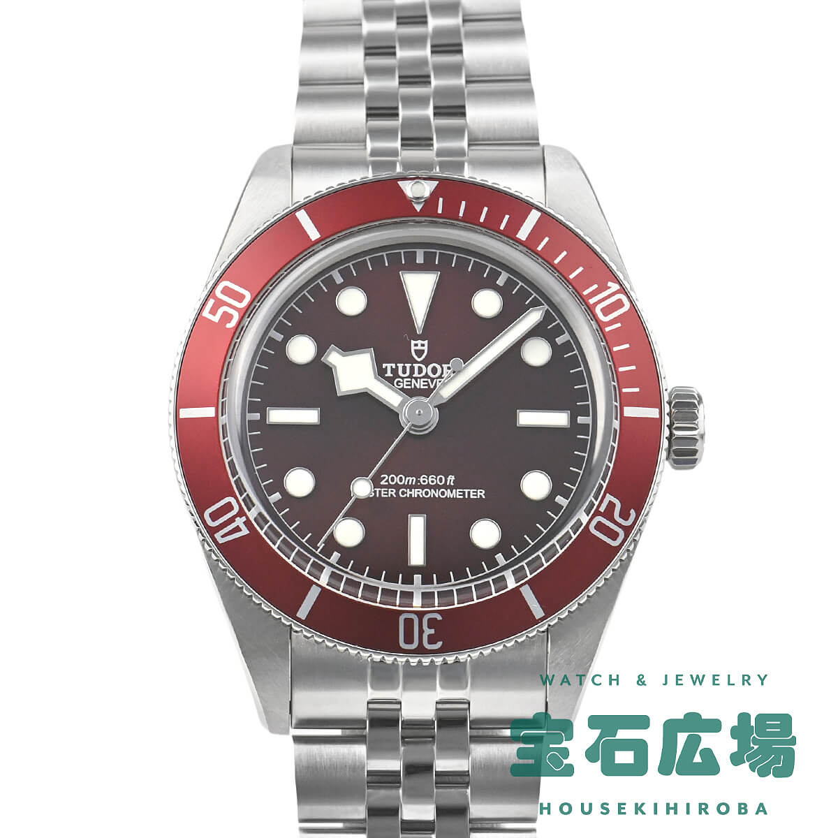 チューダー TUDOR ブラックベイ 58 M7939A1A0RU-0001 メンズ 腕時計 送料無料のサムネイル