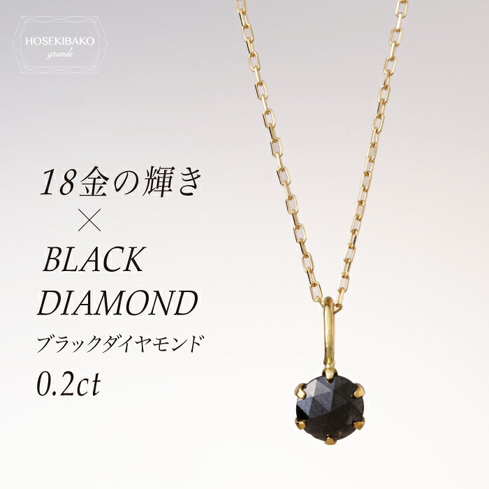 楽天市場】k18 ブラックダイヤネックレスの通販