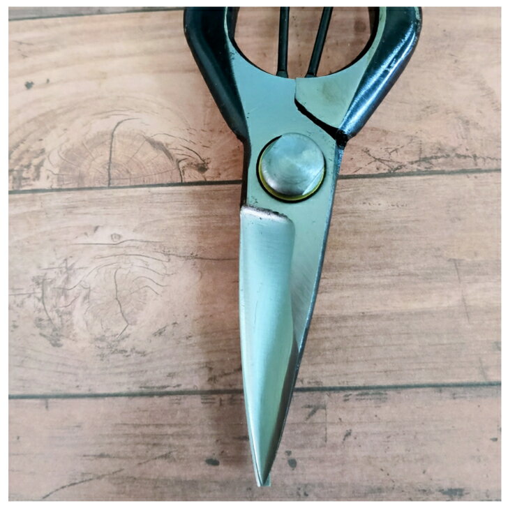 手打鍛造 片刃芽切鋏 180mm 金止付