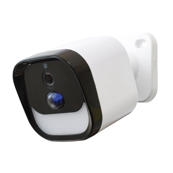 DAISHIN LEDセンサーライト付き ワイヤレス 防犯カメラ DLA-RD300-SL