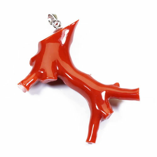 赤珊瑚 ペンダント　枝 シルバー 無染色 SANSUI 3月誕生石 天然珊瑚 sango 本さんご コーラル 宝石 サンゴ 土佐 高知 ラッピング 無料 送料無料