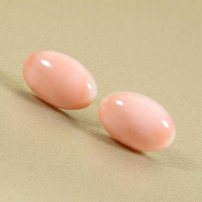 宝石珊瑚のSANSUI