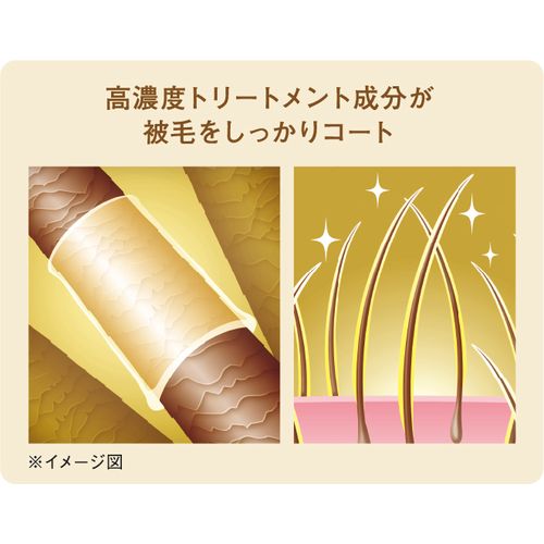 トリートメントインシャンプー愛猫用ノンフレグランス 200ml クイック&リッチ