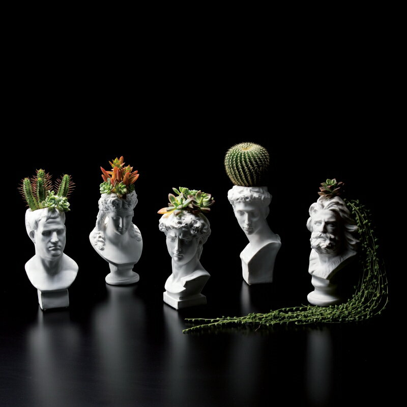 【石膏像ポット】陶器 植木鉢 ガーデニング プラントポット お庭 園芸 インテリア アレンジカップ 小物入れ 置物 観葉植物 多肉植物 サボテン フラワーアレンジメント 美術 芸術 アグリッパ アリアス 聖ジョルジョ ジュリアーノ・メディチ ひげの男