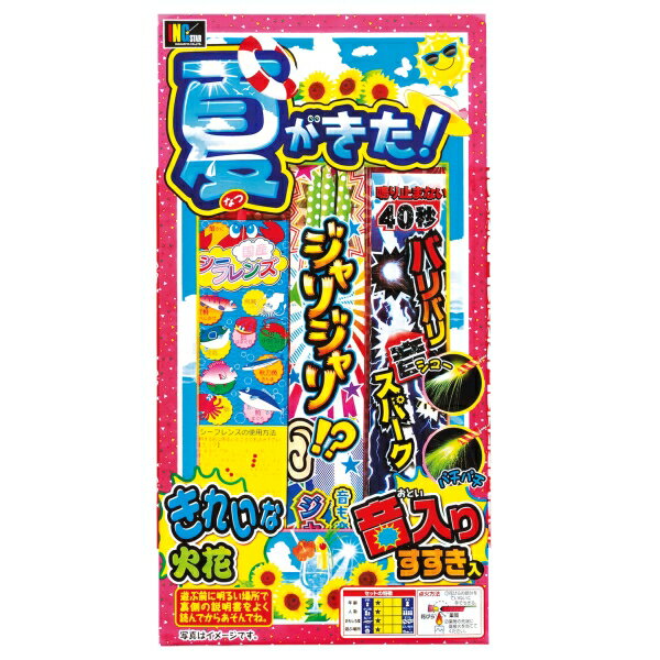 【夏がきた！ No.2／10個セット】送料無料 夏休み 子ども 子供会 地域 イベント 家族 思い出 集客 来客 来店 ノベルティ 花火 夏祭り 施設 まとめ買い 手持ち 町内会 ビンゴ 景品 保育園 幼稚園 学校 プチギフト 二次会 粗品