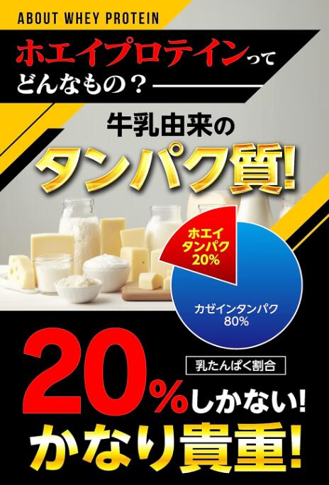 【送料無料】WHEYPROTEIN100 【 ホエイ プロテイン 錠剤 】 筋肉 サプリ タブレット タンパク質 whey protein 持ち運び housing-reformfair-10115654 雑貨 スタイルハウジング サンプル画像2
