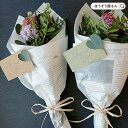 カード クリエイティブカード ライトオリーブ 30枚高品質 花材 花屋 プレゼント ギフト 業務用 装飾 飾り グリーティングカード イベント かわいい アレンジ 業務用 オシャレ おしゃれ ラッピング