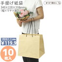 【9日限定★ポイント5倍&クーポン】 紙袋 底ボール 花材 花用 手提袋 BS 10枚手提げ マチ広 仕出し お弁当 おしゃれ 収納 高品質 手提げ袋 シンプル...