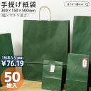【18日限定★ポイント7倍&クーポン】 紙袋 手提げ袋 手提袋 丸紐 HV100 エメラルド 50枚手提げ マチ広 仕出し お弁当 おしゃれ 収納 業務用 ワイン 小 茶 手提げ 日本製 ギフト 軽い 安心 梱包 パッケージ