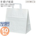 【15日限定★ポイント7倍】 紙袋 手提げ袋 手提袋 平紐 H平28 晒 無地 50枚手提げ マチ広 仕出し お弁当 おしゃれ 収納 業務用 ワイン 小 茶 手...