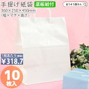 【26日限定★ポイント5倍】 紙袋 底ボール 手提袋 ブライダル 大 10枚手提げ マチ広 仕出し お弁当 おしゃれ 収納 日本製 高品質 ギフト プレゼント イベント 入学 新学期 新シーズン 新店舗 シンプル 安心 梱包 パッケージ 和菓子