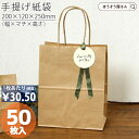 【1日限定★ポイント7倍】 紙袋 花材 花用 自動手提袋 HV20 未晒 無地 50枚おしゃれ 収納 業務用 ワイン 小 茶 手提げ 日本製 高品質 ギフト プレゼント イベント 入学 新学期 新シーズン 新店舗 シンプル 安心 梱包 パッケー