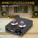 Douk Audio T3 PRO MM フォノ ステージ プリアンプ Mini ステレオ 真空管プリアンプ Phono その1