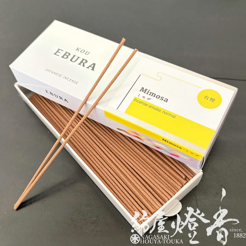 󥻥 øϩKOU EBURA ߥ⥶ ST18g ͭ ߷Ʋ / Mimosa  û ƥå ֤ 決 øϩ  ʲ Ť...