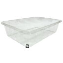 フルーツケース フルーツ300 315×225×90mm 1ケース300枚入り 200165 信和