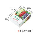 【屋号必須】ぶどう箱 高級ぶどう A-2 三色 300×225×100mm 1ケース50枚入り