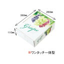 【屋号必須】ぶどう箱 高級ぶどう A-4T 三色 370×280×115mm 1ケース50セット入り