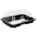 【屋号必須】ミニトマト・チェリー等用パック CF300.9H BLW スライド嵌合 162×123×55mm 9穴 1ケース1200枚入 エフピコチューパ