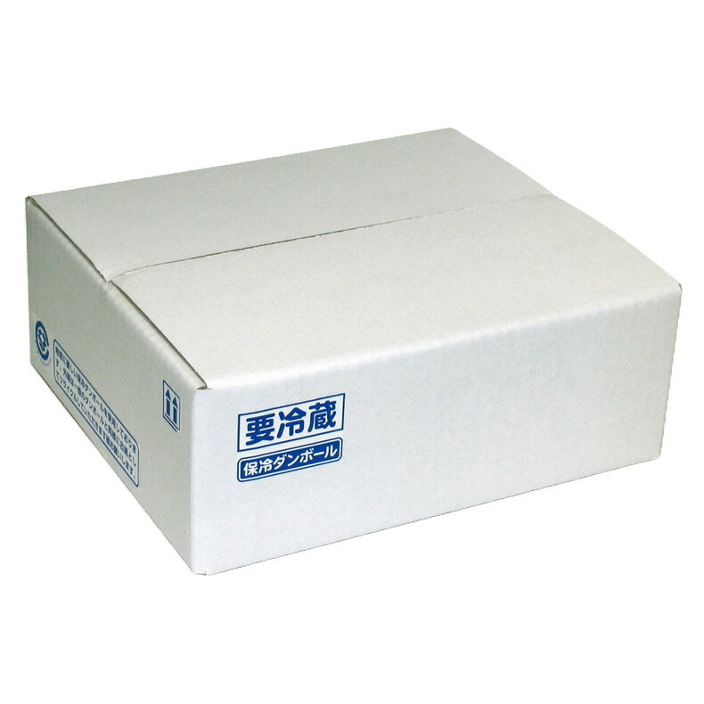 【屋号必須】ヤマニパッケージ 撥水宅配箱 NK-117 片面エコクール A式 2 260×300×100mm 1ケース50枚入